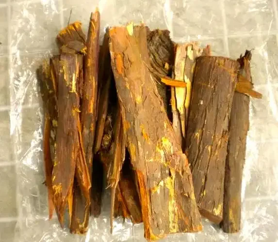 一个浸泡着红豆杉根皮的酒坛特写，背景融合了红豆杉林和化学分子结构警示图_1