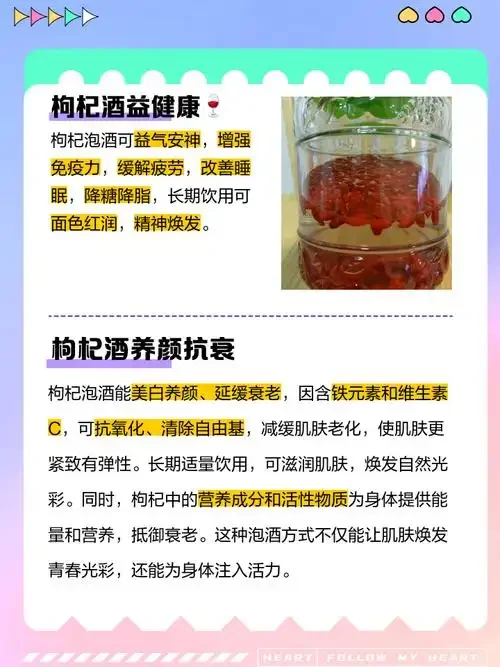 自制枇杷枸杞泡酒特写：透明玻璃罐中枇杷与枸杞在酒液中清晰可见，旁边摆放着新鲜原料。_1