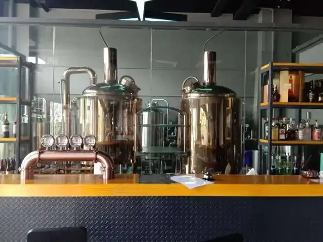 家庭自酿啤酒设备实拍：不锈钢糖化桶、煮沸桶和发酵罐，搭配麦芽、啤酒花等原料，展示专业且温馨的家酿环境。_1