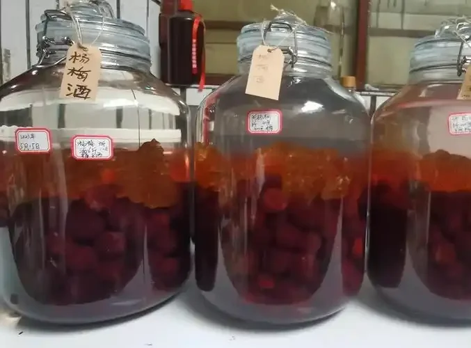 家庭自制红酒酵素发酵过程实拍：玻璃罐中水果与红酒混合发酵的景象_1