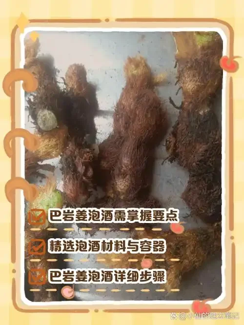 一个透明玻璃罐中正在浸泡的石韦酒，酒色清亮，石韦叶片清晰可见。_1