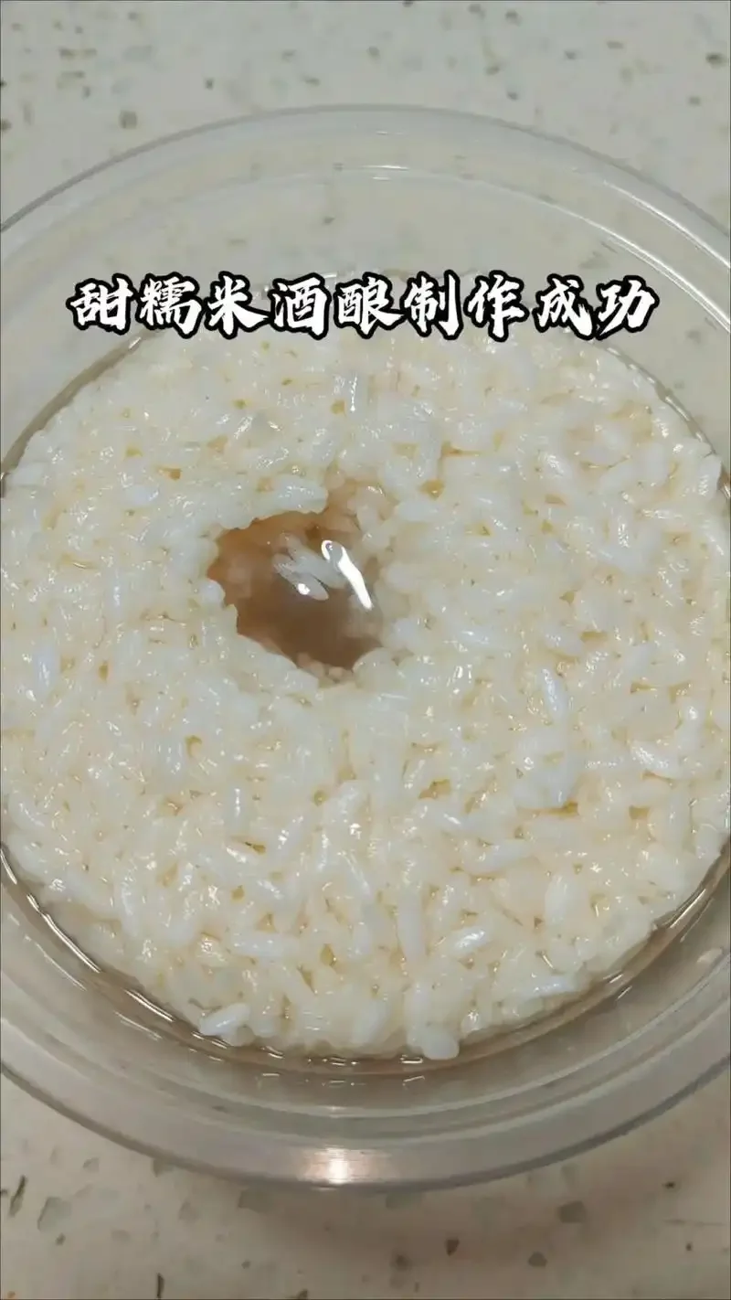 自制成功的酒酿成品特写，米粒晶莹，酒窝清晰可见_1