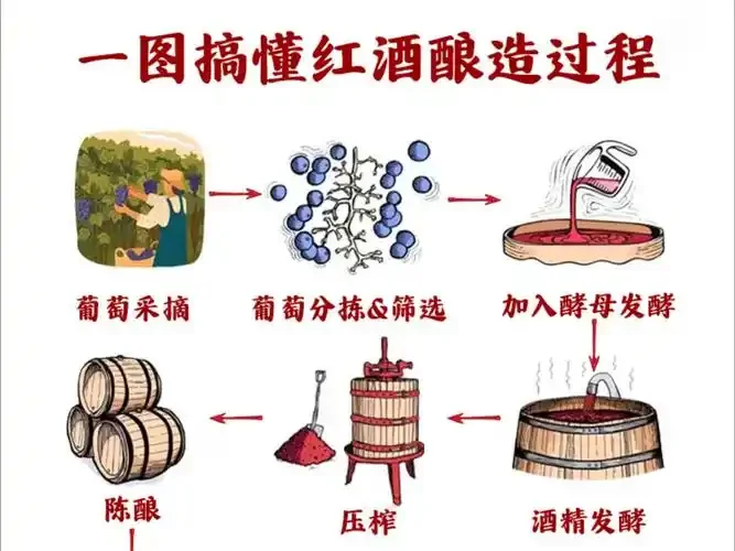 一瓶家庭自制的暗红色葡萄酒被妥善存放在凉爽、避光的酒架上，旁边有酿酒笔记和葡萄作为装饰。_1