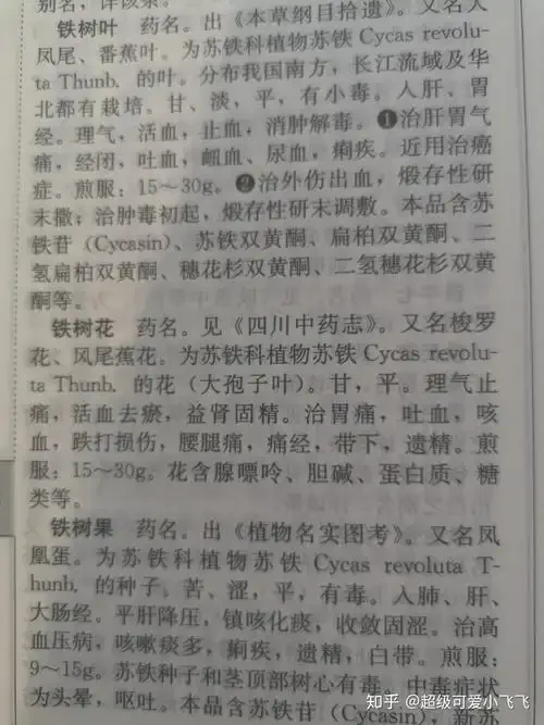 玻璃罐中正在浸泡的铁树花酒，金黄的酒液与橙红的花朵形成鲜明对比_1