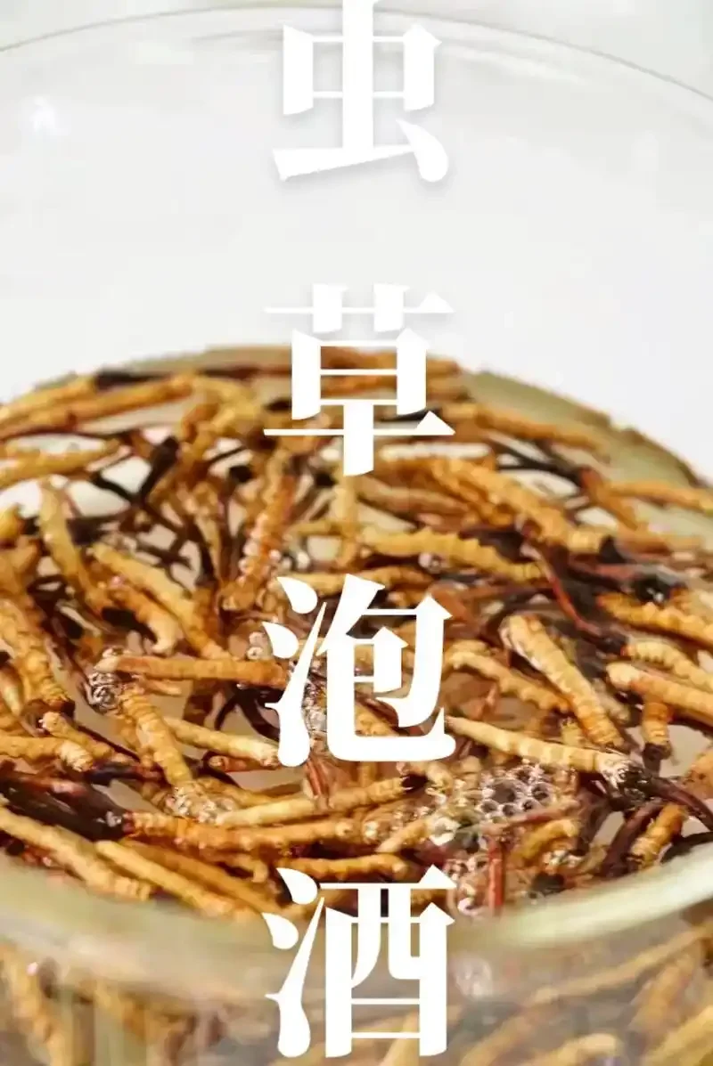 一瓶家庭手工泡制的大黑蜂虫草酒特写，展示琥珀色酒液与清晰可见的药材_1