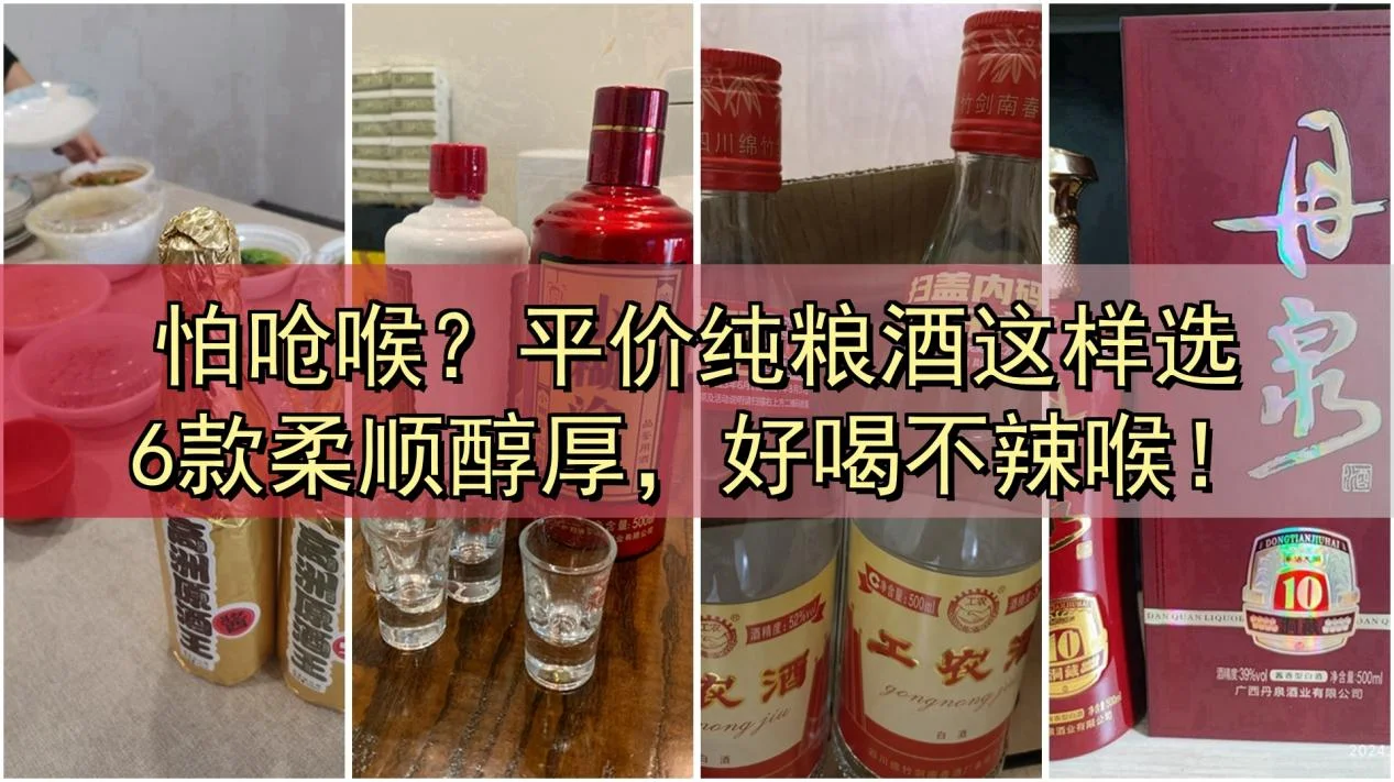 酿酒师在餐桌上向年轻人讲解如何挑选粮食白酒，桌上有多种酒瓶和酿酒原料_1