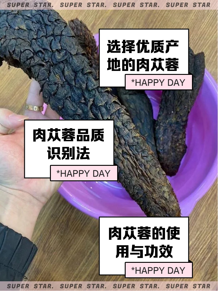 家庭自酿肉苁蓉泡酒过程展示：玻璃瓶中琥珀色酒液浸泡着肉苁蓉切片和枸杞_1