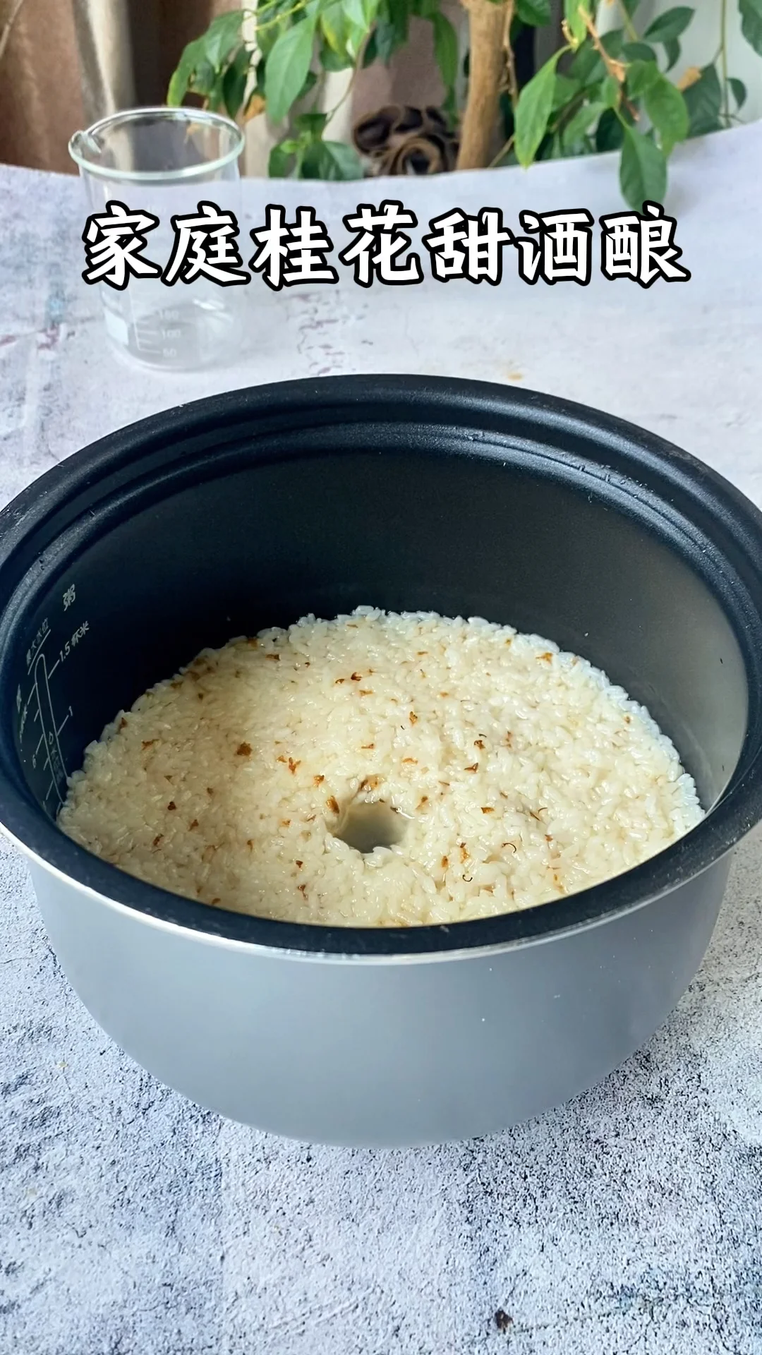 家用电饭煲制作完成的甜酒酿成品特写，米粒洁白，酒窝明显，酒汁清澈，展现成功酿造状态。_1