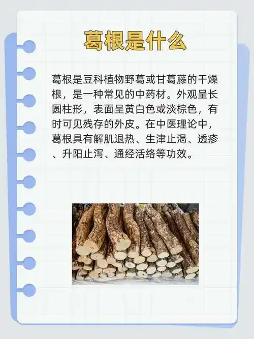 家庭自酿葛根泡酒实物图，展示玻璃罐中葛根切片与枸杞在琥珀色酒液中的浸泡状态。_1