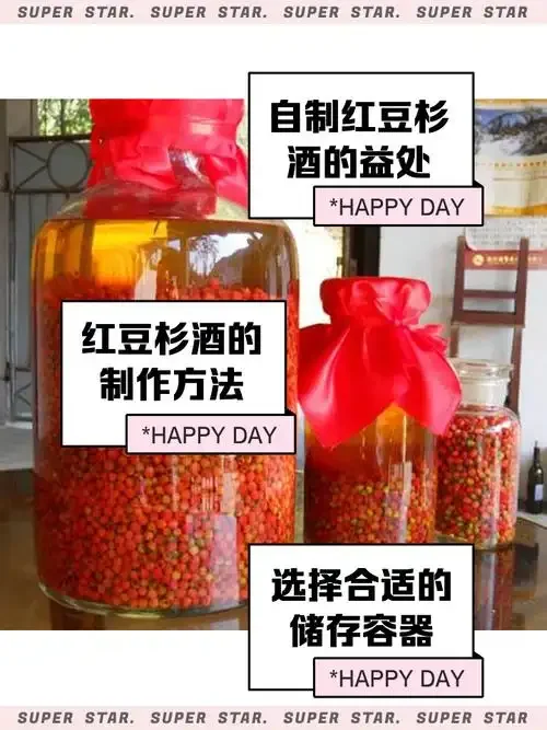 手工将红豆杉果实放入玻璃罐中准备泡酒的过程特写_1