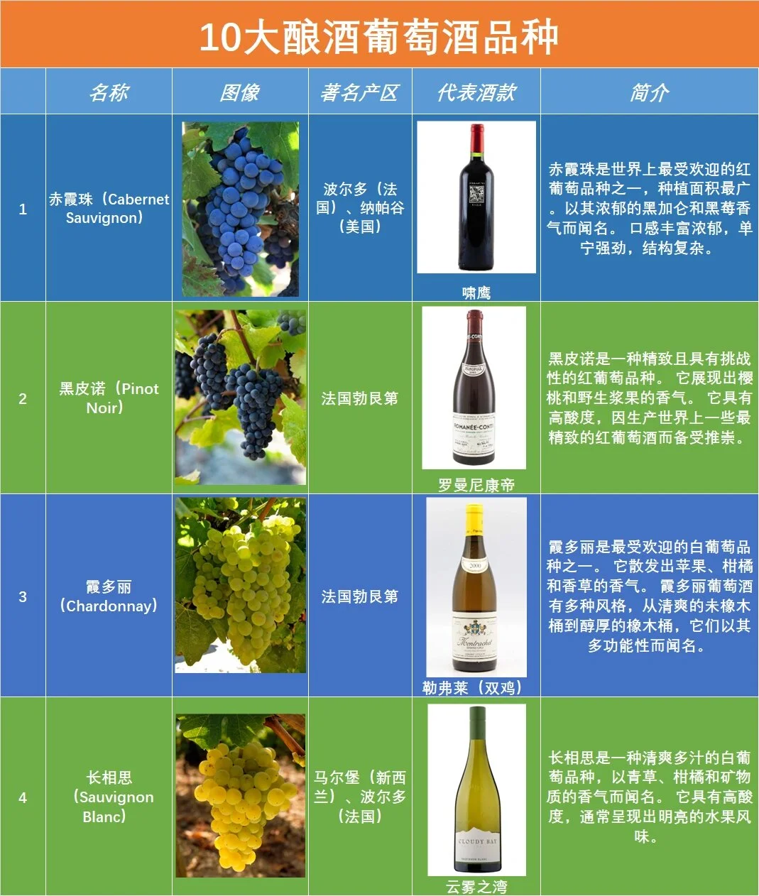 酿酒师正在对比观察赤霞珠与雷司令两串不同品种葡萄的细节_1