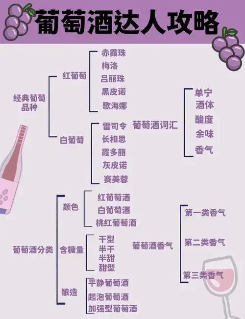 家庭酿造干红葡萄酒工作台，展示赤霞珠葡萄、发酵罐及酿酒工具_1