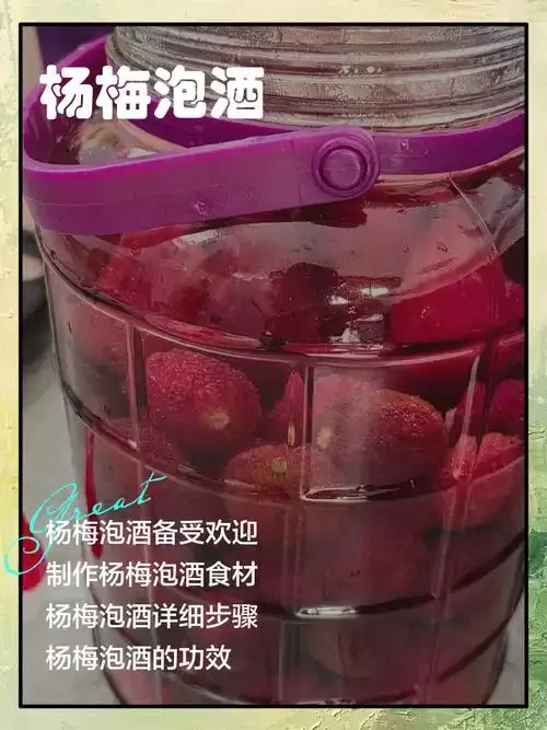 杨梅烧酒家庭酿造过程图：玻璃罐中正在浸泡的杨梅与酒液，背景为传统酿酒工具。_1