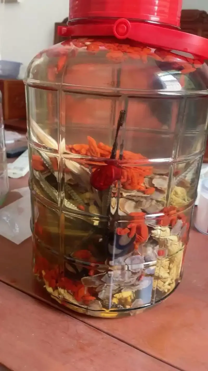 南楼山酿酒师展示的泡酒坛：坛中干海龙与药材清晰可见，琥珀色酒体透亮，体现传统泡酒工艺。_1