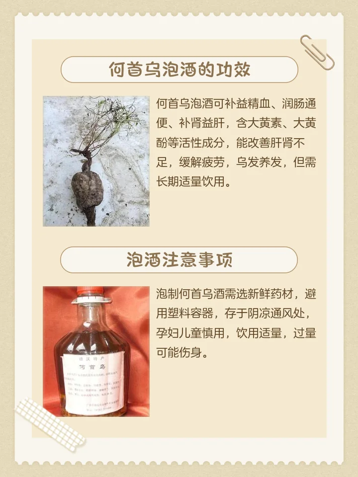 何首乌和大枣在玻璃瓶中浸泡的养生酒实拍图，色泽红褐透亮，材料清晰可见。_1
