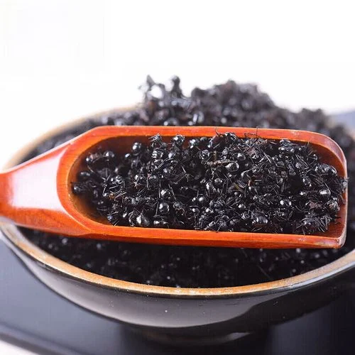 专业酿酒师展示正宗黑蚂蚁泡酒成品，琥珀色酒液中清晰可见黑蚂蚁，旁边配有枸杞红枣等辅料。_1