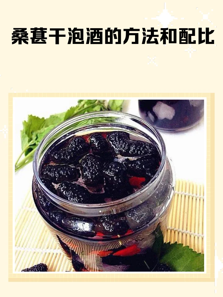 家庭自酿桑葚酒特写：透明玻璃罐中深紫红色的酒液与饱满的干桑葚，旁边配有原料展示。_1