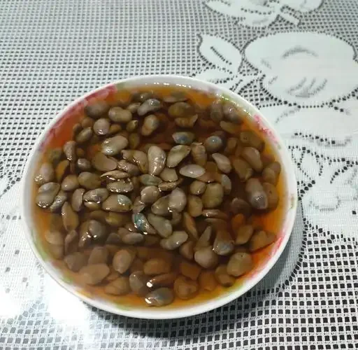 酿酒师手中捧起的湿润酒泥（酒糟）特写，展示其质地与发酵状态_1