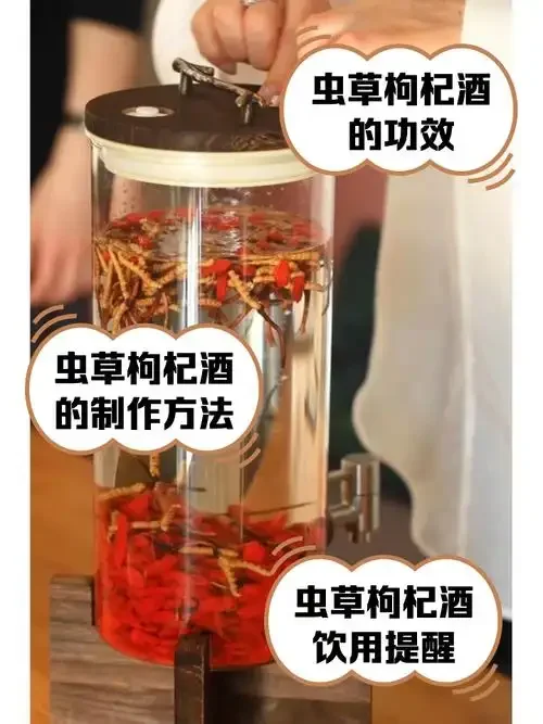 透明玻璃罐中浸泡的虫草枸杞酒特写，虫草与枸杞在酒液中清晰可见_1
