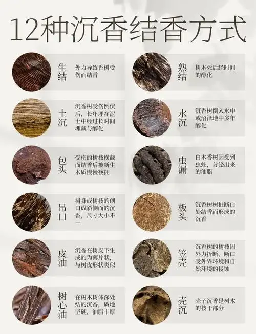 透明酒坛中琥珀色酒液浸泡着沉香木，旁边有秤和沉香珠，展示沉香泡酒的正确比例与选材。_1