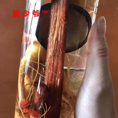 人参鹿鞭泡酒实拍图：玻璃罐中的人参、鹿鞭切片与琥珀色药酒_1