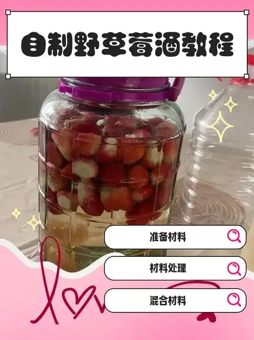 家庭手工酿造草莓酒：透明玻璃罐中正在发酵的草莓酒液与新鲜草莓、冰糖_1