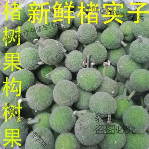 玻璃罐中浸泡的红色构树果酒，旁边配有新鲜构树果、冰糖和白酒，展示家庭自制果酒的过程。_1