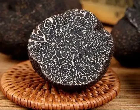 黑松露泡酒材料与比例展示图：玻璃罐中浸泡着黑松露、枸杞和红枣，旁边配有酿酒工具和配方笔记。_1