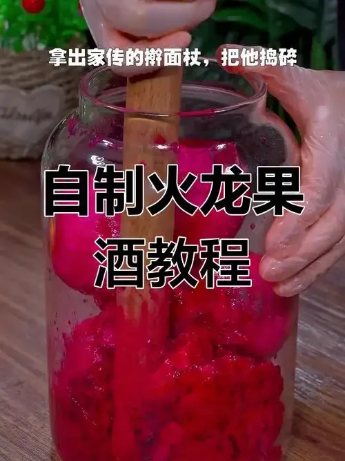 家庭自制火龙果泡酒展示,玻璃罐中紫红色火龙果与酒液分层,旁边放置新鲜红心火龙果。_1