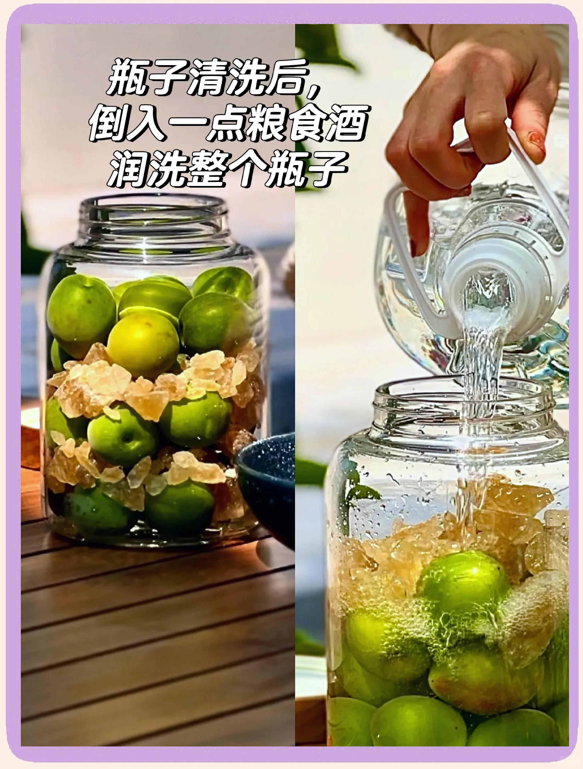 家庭自酿梅子酒材料展示：玻璃罐中分层放置的青梅、黄冰糖和基酒_1