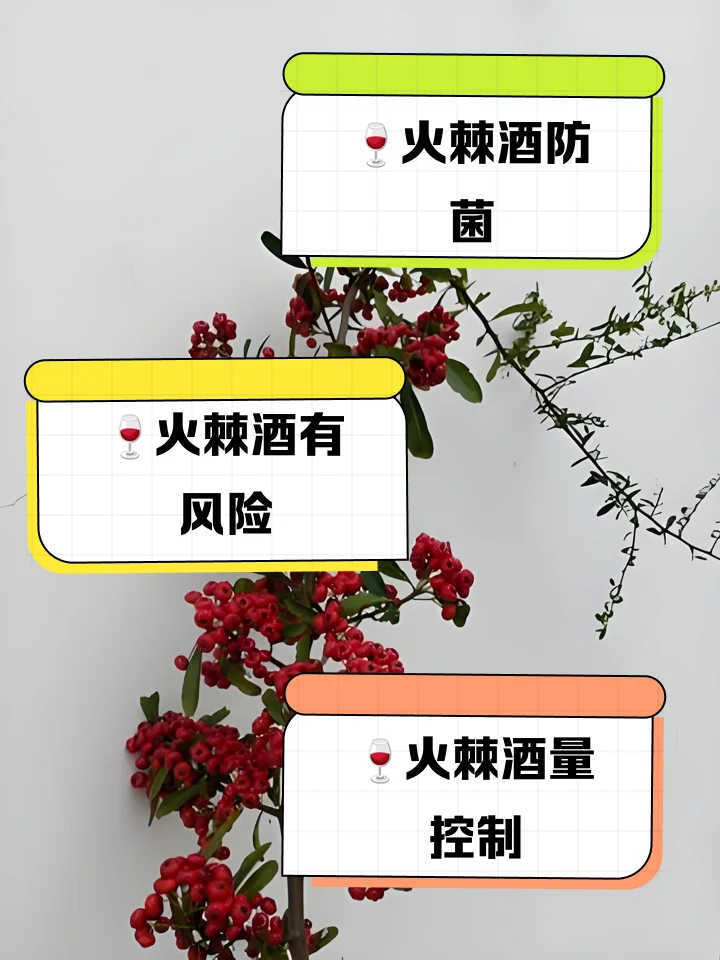 一坛正在浸泡中的野生火棘果酒特写，红色果实与透明酒液在玻璃罐中层次分明，旁边散落着新鲜火棘果，画面温馨自然。_1