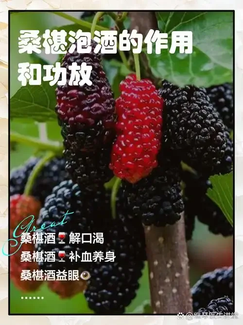 桑葚蜂蜜泡酒制作过程特写：玻璃罐中桑葚与蜂蜜混合，正在加入纯粮白酒_1