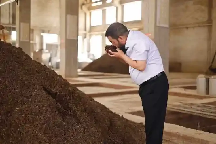 传统中国酒窖内景，木酒桶与陶制酒坛在光影中，呈现酿酒历史的厚重感_1