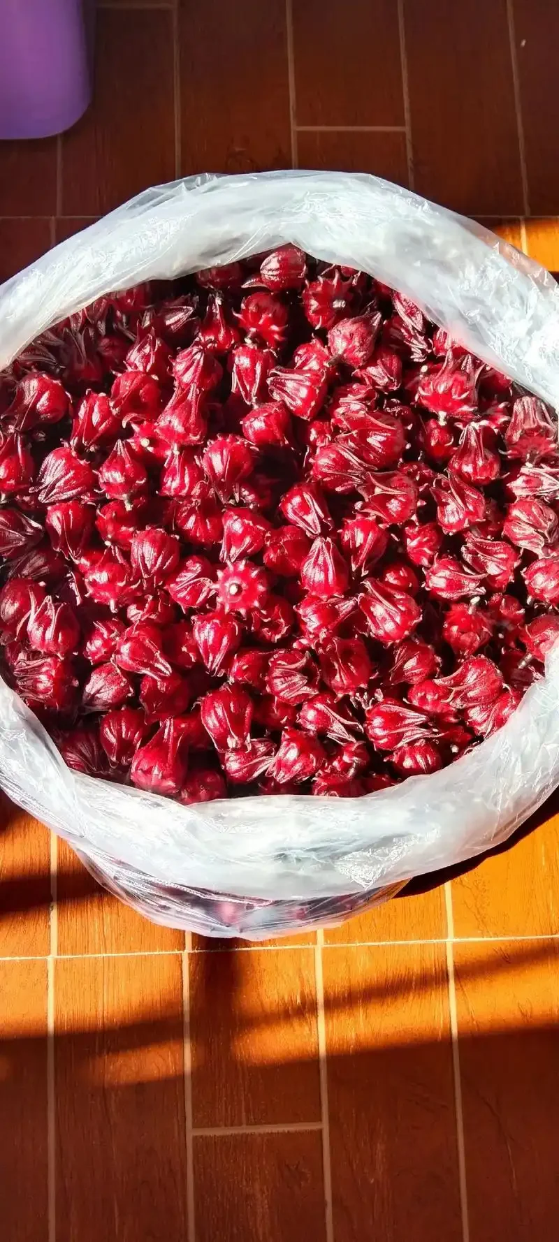 一罐正在浸泡中的金樱子红桃K酒，玻璃罐中呈现诱人的宝石红色，可见金黄色的金樱子和深红色的红桃K花瓣清晰悬浮。_1