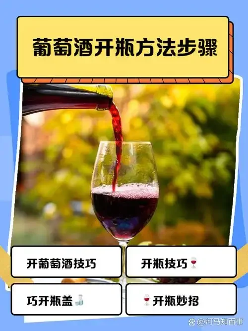 白酒浸泡葡萄的发酵过程：透明玻璃罐中紫葡萄与白酒混合，产生细微气泡，背景为酿酒工具。_1