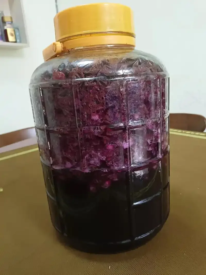 家庭自酿葡萄酒所需材料和工具特写：发酵瓶、新鲜葡萄、剪刀和压碎器_1