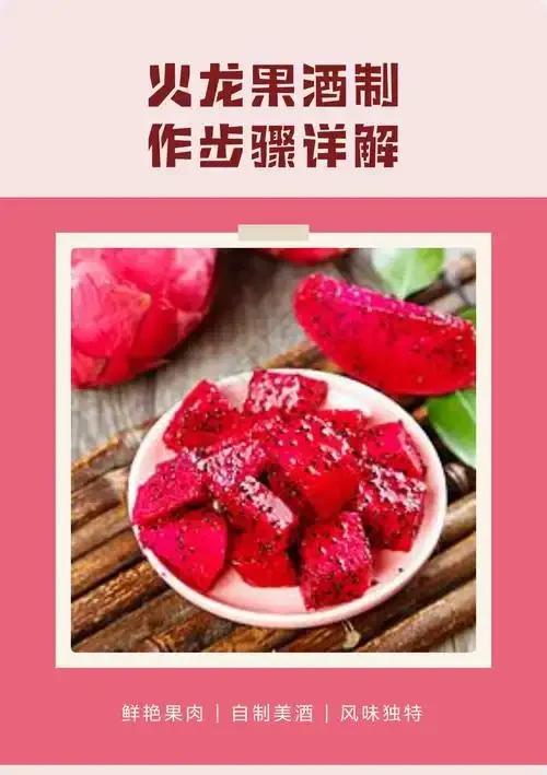 家庭自制火龙果泡酒成品展示：透明玻璃罐中的玫红色酒液与红心火龙果肉_1