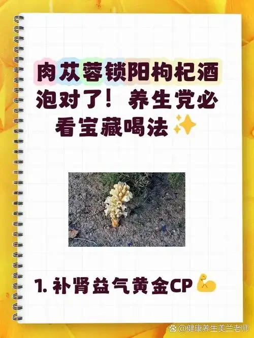 玻璃罐中正在浸泡的枸杞黄芪锁阳酒，酒液呈琥珀色，原料清晰可见，画面温暖自然。_1