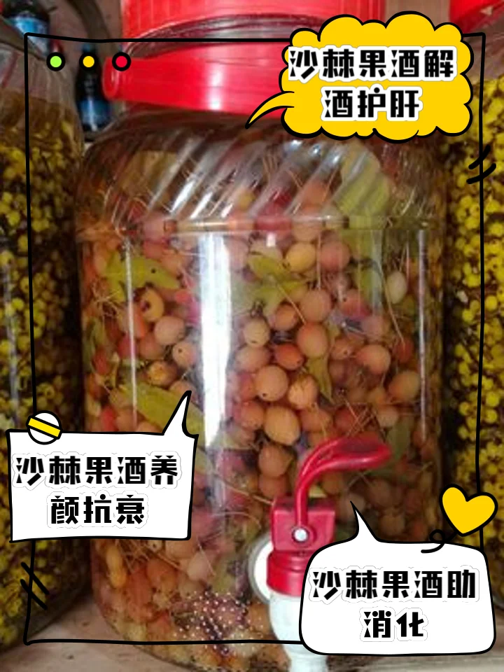 家庭自酿柑子泡酒成品展示：透明玻璃酒坛中可见金黄色柑子与琥珀色酒液，旁边摆放着新鲜柑子和冰糖。_1