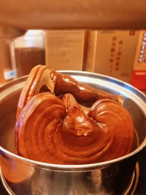 浸泡在琥珀色酒液中的灵芝特写，展示家庭自制灵芝酒的真实过程。_1