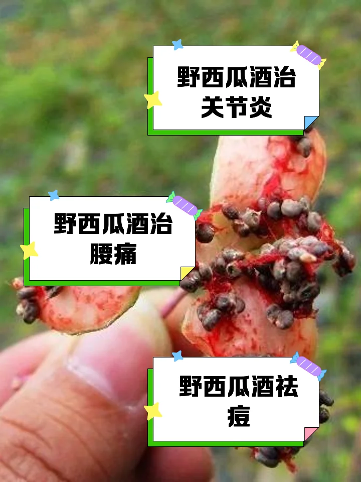 用于缓解关节炎的传统中药酒浸泡过程展示，玻璃罐中浸泡着桑枝、威灵仙等多种药材_1