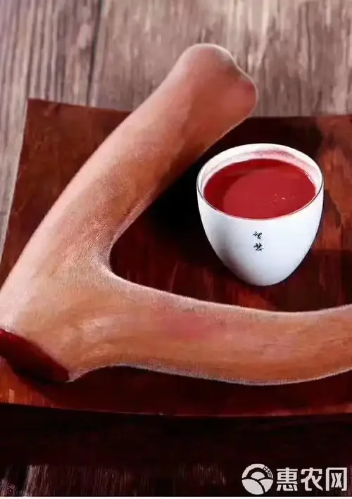 10斤白酒泡酒配方示例：透明玻璃罐中金黄色的酒液浸润着红润鹿茸片，旁边放着电子秤和待用的鹿茸，展示家庭泡酒的精准与专业。_1