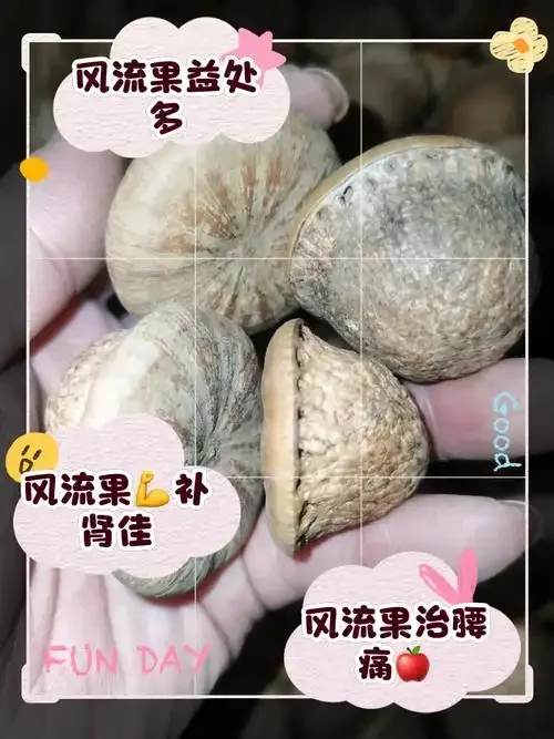 家庭自制风流果泡酒特写：透明玻璃罐中琥珀色酒液浸泡着饱满的风流果，背景为木质桌面与酿酒笔记，展示专业温馨的酿酒过程。_1