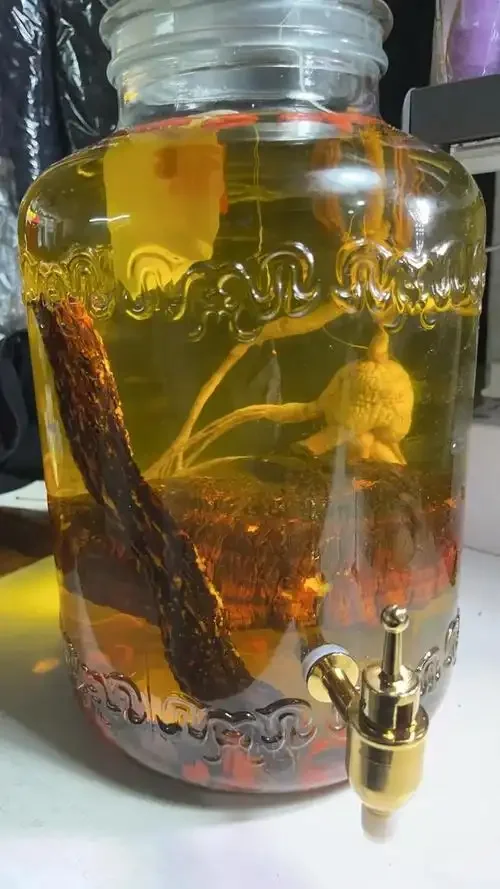 一个泡有完整灵芝和红枸杞的玻璃酒罐，旁边散落着备用材料，展示灵芝枸杞酒的泡制过程。_1
