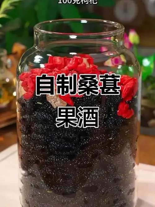 家庭自酿桑葚酒发酵过程实拍，透明发酵罐内充满桑葚果肉，旁边摆放新鲜桑葚。_1