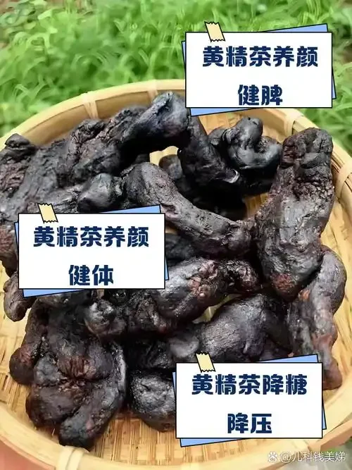 黄精泡酒过程展示：装有金黄酒液和黄精片的玻璃罐，旁边散落着黄精原料和酿酒工具_1