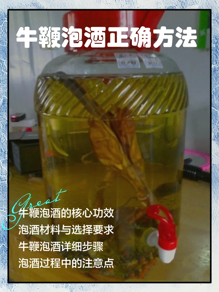 专业酿酒师视角下的野牛胆泡酒特写：玻璃罐中琥珀色酒液浸泡着野牛胆及枸杞黄芪_1