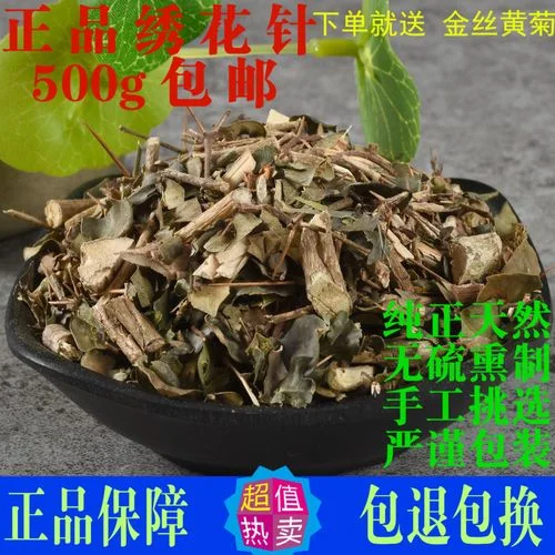 透明玻璃酒坛中浸泡的绣花针草药酒，旁边散落新鲜虎刺植株，展示家庭自制药酒的过程。_1
