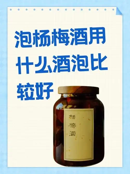 一罐正在浸泡中的自制杨梅酒，红润的杨梅与清澈的酒液形成鲜明对比。_1