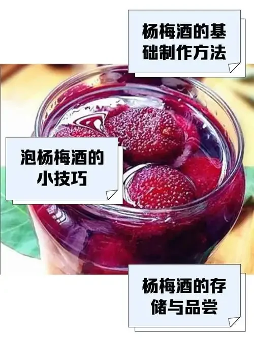 家庭自制杨梅黑枸杞泡酒材料与成品特写：新鲜杨梅、黑枸杞和透明泡酒罐_1